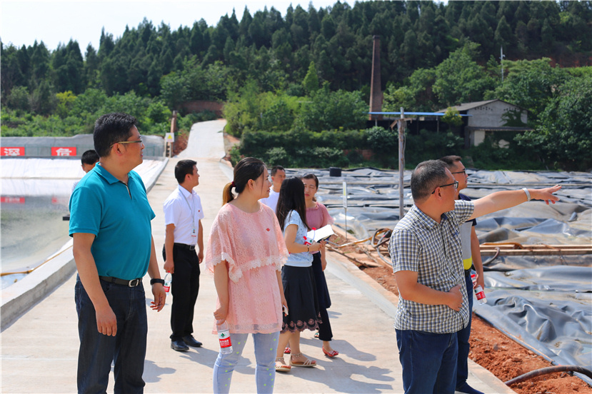 集團(tuán)第一檢查組檢查杰陽排水公司、固廢處置公司安全防汛和環(huán)保達(dá)標(biāo)各項(xiàng)工作3_副本